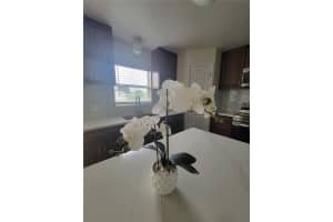 335 COLUMBO STREET, WINTER HAVEN, FL 33880 Sold 01/09/24