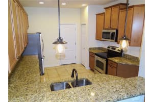 14324 DESERT HAVEN STREET, WINDERMERE, FL 34786 Sold 04/04/24