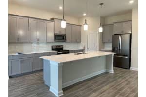 1747 AMERICAN BEECH PARKWAY, OCOEE, FL 34761 Sold 12/05/23