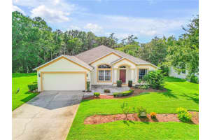 3783 BIRCH MOUNTAIN ROAD, PORT ORANGE, FL 32129 Sold 11/03/23
