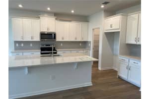 1969 VALENCIA BLOSSOM STREET, CLERMONT, FL 34711 Sold 07/16/24
