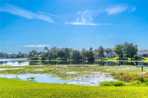 3100 BRIDGEHAMPTON LANE, ORLANDO, FL 32812 Sold 11/20/23