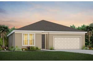 1390 RED BLOSSOM LANE, KISSIMMEE, FL 34746 Sold 12/19/23