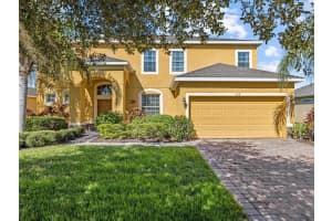 339 YELLOW SNAPDRAGON DRIVE, DAVENPORT, FL 33837 Sold 01/05/24