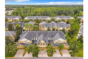 14236 OASIS COVE BOULEVARD, WINDERMERE, FL 34786 Sold 12/27/23