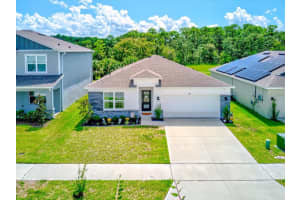 320 TALISI LOOP, SAINT CLOUD, FL 34771 Sold 03/27/24