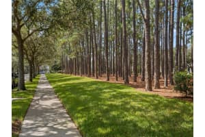 7011 NOBLETON DRIVE, WINDERMERE, FL 34786 - MLS#MFRO6142551