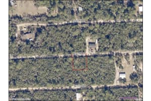 0 NE 233RD LANE, FORT MC COY, FL 32134 - MLS#MFRO6142587