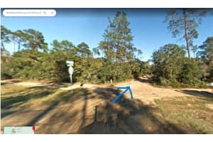 0 NE 233RD LANE, FORT MC COY, FL 32134 - MLS#MFRO6142587