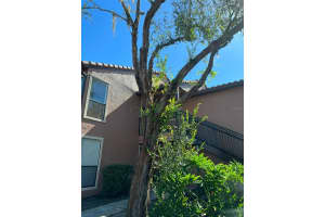 673 GRENADINE COURT, WINTER PARK, FL 32792 Sold 10/30/23