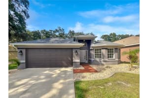 4705 DUNNIE DRIVE, TAMPA, FL 33614 Sold 10/31/23