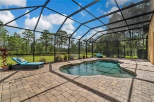14131 OAKWOOD COVE LANE, ORLANDO, FL 32832 Sold 03/08/24