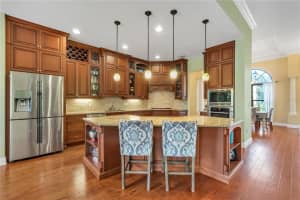 14131 OAKWOOD COVE LANE, ORLANDO, FL 32832 Sold 03/08/24