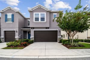 6831 CITRUS CREEK LANE, TAMPA, FL 33625 Sold 11/03/23