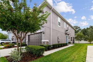 6831 CITRUS CREEK LANE, TAMPA, FL 33625 Sold 11/03/23