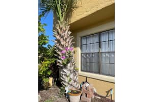 7401 WYNNEWOOD SQUARE, WINTER PARK, FL 32792 Sold 11/03/23