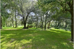 834 BROOKFIELD PL, APOPKA, FL 32712 Sold 12/28/23