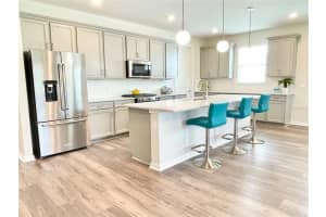 13313 SUNNY RETREAT LANE, WINTER GARDEN, FL 34787 Sold 09/12/24