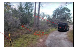 4606 PIEDMONT AVENUE, SEBRING, FL 33875 - MLS#MFRO6149927