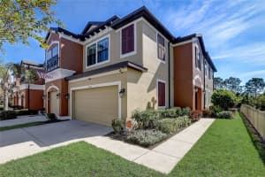 11460 CROWNED SPARROW LANE, TAMPA, FL 33626 Sold 12/15/23