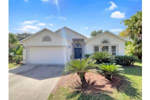8315 TORRINGTON AVENUE, TAMPA, FL 33647 Sold 12/21/23