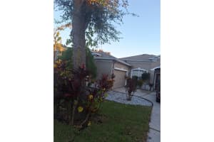 2056 CLAPPER TRAIL, APOPKA, FL 32703 Sold 03/11/24