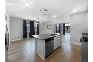 29463 CASPIAN STREET, LEESBURG, FL 34748 Sold 10/28/24