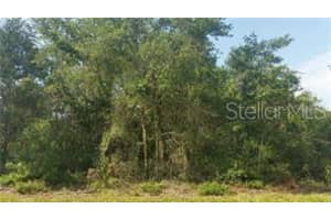 408 CAMELLIA DRIVE, INDIAN LAKE ESTATES, FL 33855 - MLS#MFRO6153053