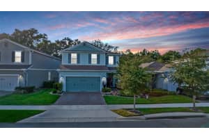 1119 BOBCAT CHASE BOULEVARD, OAKLAND, FL 34787 Sold 02/29/24