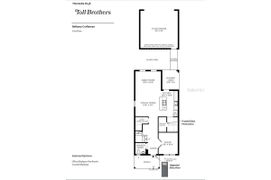2460 CEDAR ROSE STREET, APOPKA, FL 32712 Sold 10/31/24