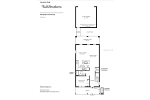2472 CEDAR ROSE STREET, APOPKA, FL 32712 Sold 02/25/25