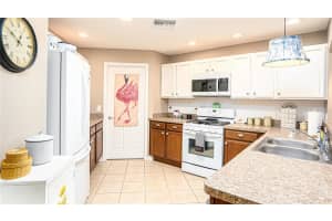 26933 WHITE PLAINS WAY, LEESBURG, FL 34748 Sold 04/30/24