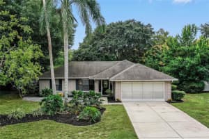 4100 DORA WOOD DRIVE, MOUNT DORA, FL 32757 Sold 12/28/23