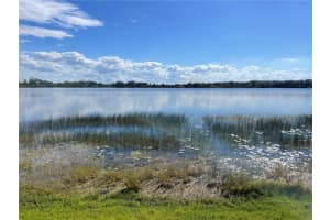 29 GINGER QUILL CIRCLE, LAKE WALES, FL 33853 - MLS#MFRO6156357