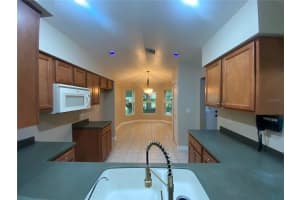 3022 NEW HAVEN PLACE, MOUNT DORA, FL 32757 Sold 02/26/24