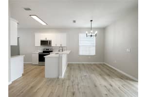 304 RYANS RIDGE AVENUE, EUSTIS, FL 32726 Sold 02/16/24