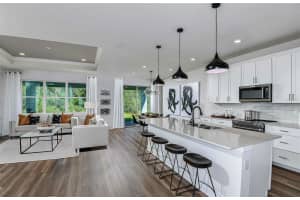15870 WINDING BLUFF DRIVE, MONTVERDE, FL 34756 Sold 02/20/25
