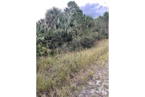 739 SPOONBILL STREET, PALM BAY, FL 32908 - MLS#MFRO6160148