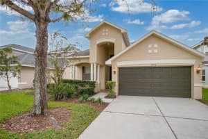 30722 PUMPKIN RIDGE DRIVE, WESLEY CHAPEL, FL 33543 Sold 05/01/24