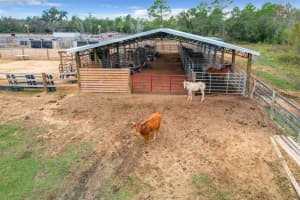11350 OLD GRADE ROAD, POLK CITY, FL 33868 Sold 03/14/25