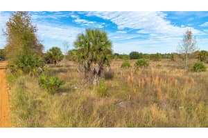 28432 EICHELBERGER ROAD, TAVARES, FL 32778 - MLS#MFRO6161840