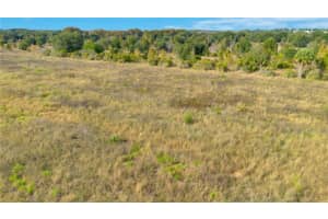 28432 EICHELBERGER ROAD, TAVARES, FL 32778 - MLS#MFRO6161840