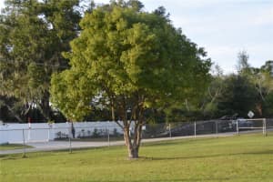 0 FRANCES AVENUE, SANFORD, FL 32773 Sold 07/31/25
