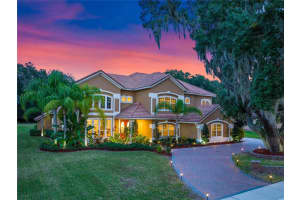 177 OSPREY HAMMOCK TRAIL, SANFORD, FL 32771 Sold 05/26/24
