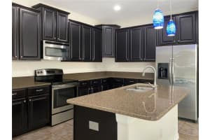10315 SUMMER AZURE DRIVE, RIVERVIEW, FL 33578 Sold 07/16/24