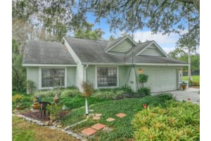 10100 PINK CARNATION COURT, ORLANDO, FL 32825 Sold 02/09/24