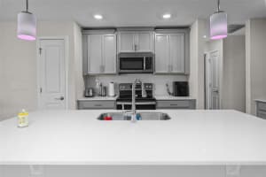 2874 BLACK BIRCH DRIVE, OCOEE, FL 34761 Sold 07/18/24