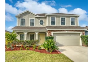 14123 POKE RIDGE DRIVE, RIVERVIEW, FL 33579 Sold 02/16/24