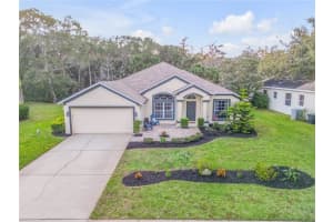 3783 BIRCH MOUNTAIN ROAD, PORT ORANGE, FL 32129 Sold 02/23/24