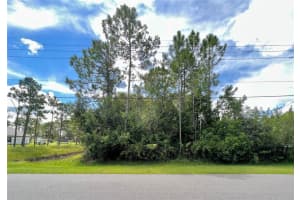 MAJESTIC ST, ORLANDO, FL 32833 - MLS#MFRO6166274
